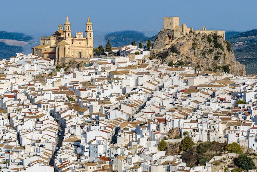 Olvera