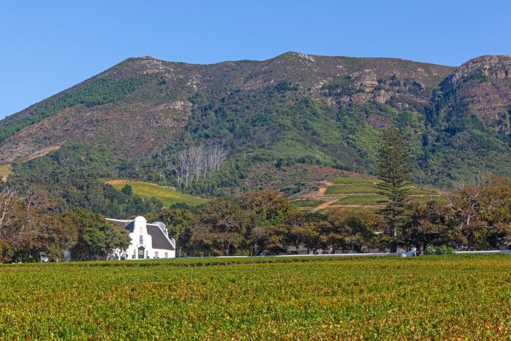 domaine Groot Constantia