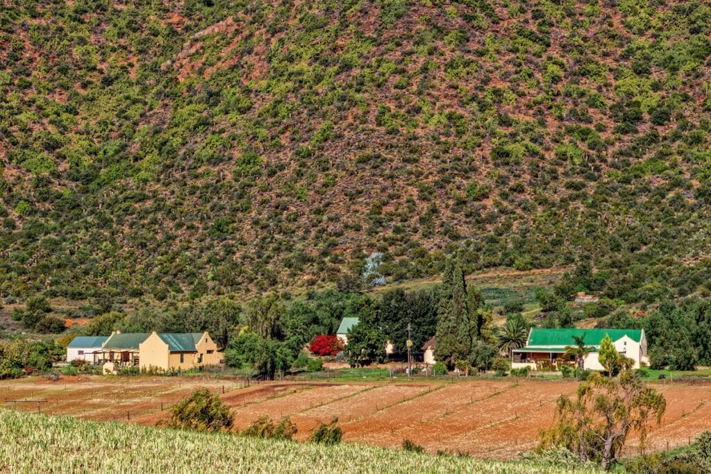 Petite ferme Little Karoo sous une colline escarpée