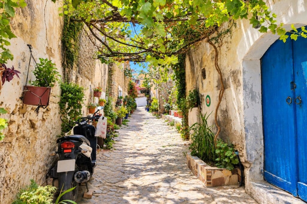 rue de Dellys