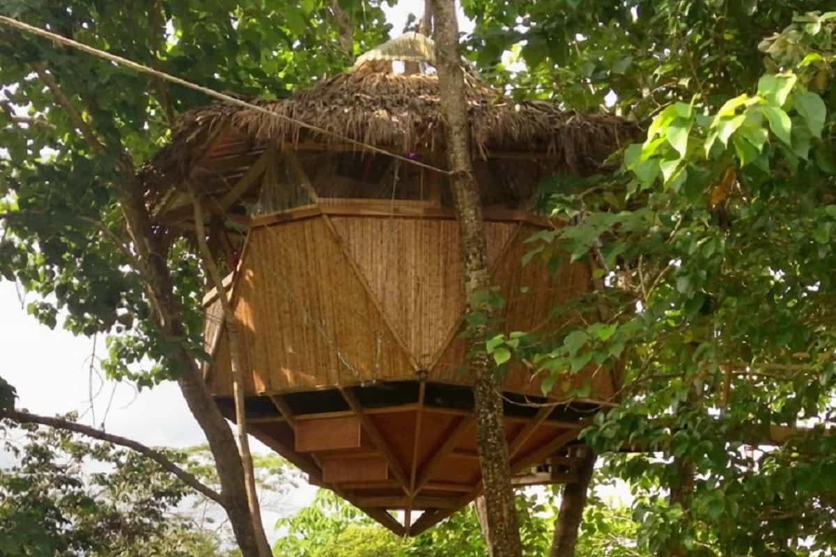 cabane dans un arbre au costa rica