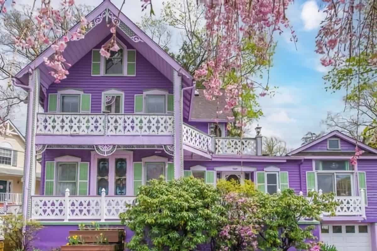 maison mauve