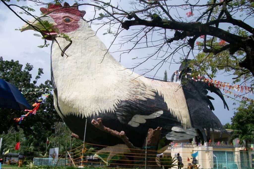 musée en forme de coq