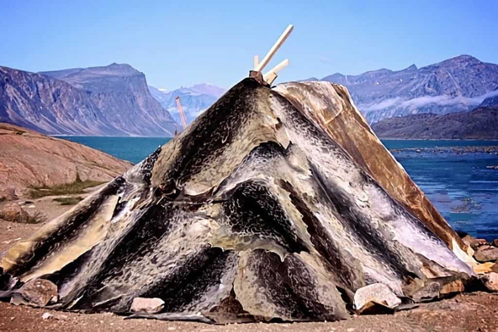 tente en peaux de phoque