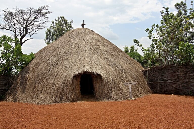 hutte en forme de dôme et en chaume dans un rugo