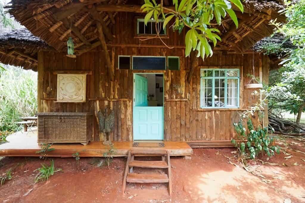 façade cabane en bois