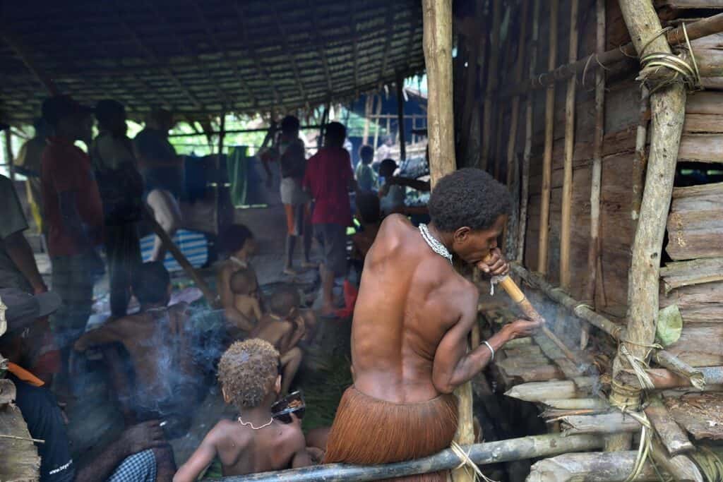 plusieurs korowai dans une maison arbre