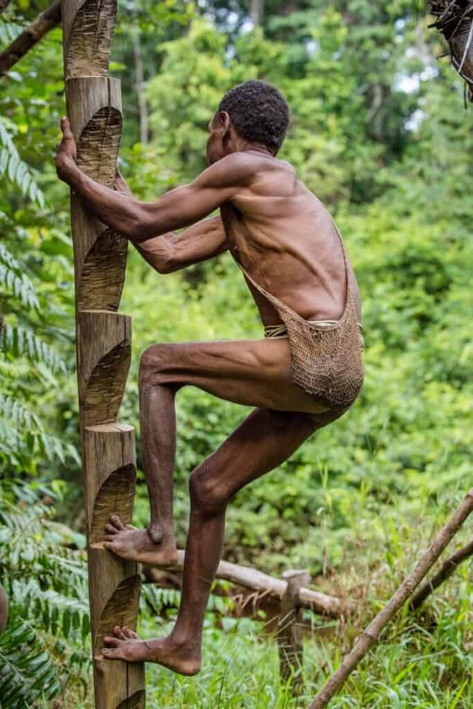 homme korowai grimpe poteau