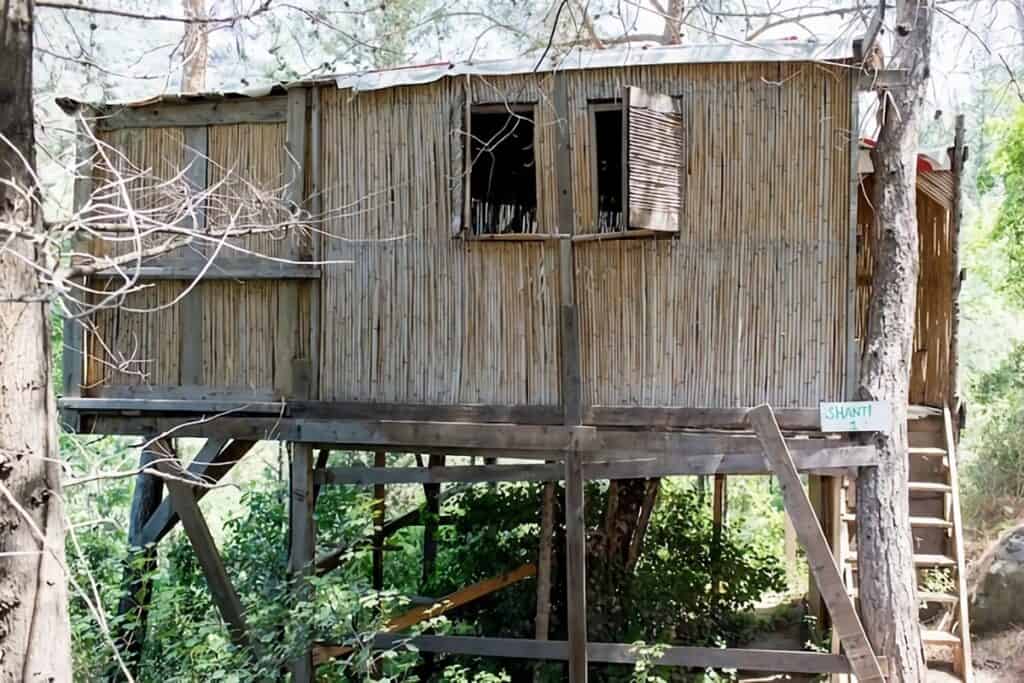 maison en bambou sur pilotis