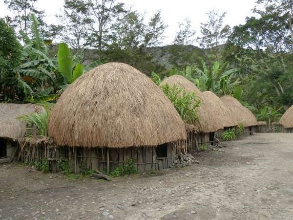 maison typique papouasie