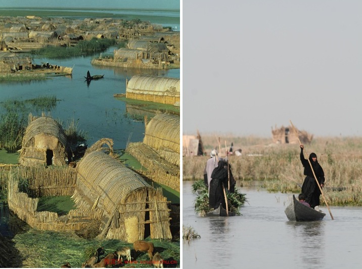 maisons flottantes en irak