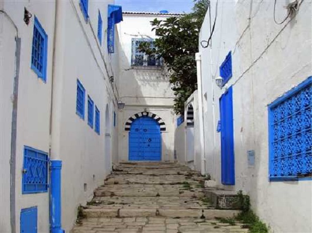 les maisons en tunisie