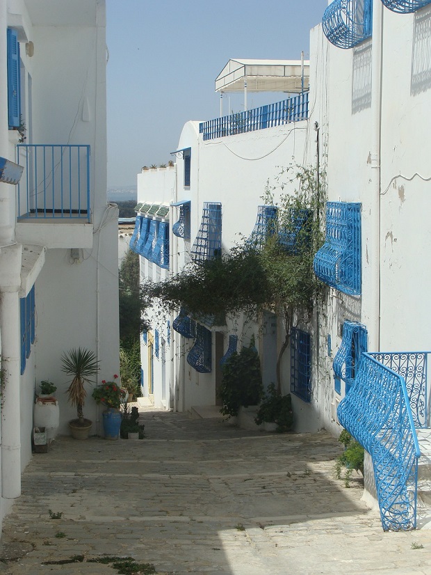 maisons en tunisie