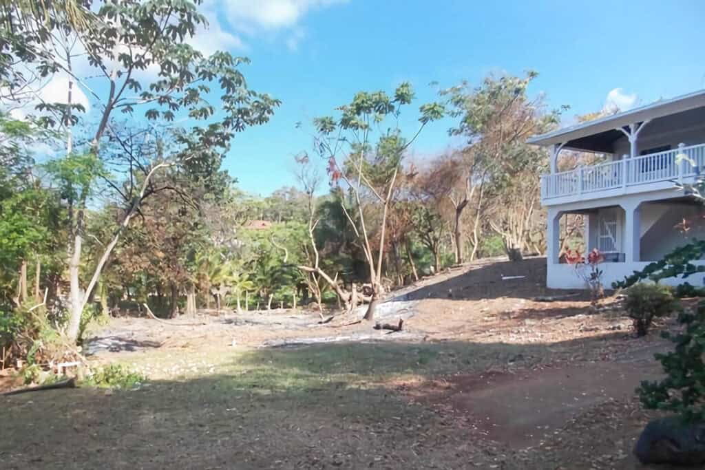 vue de la maison et de la nature