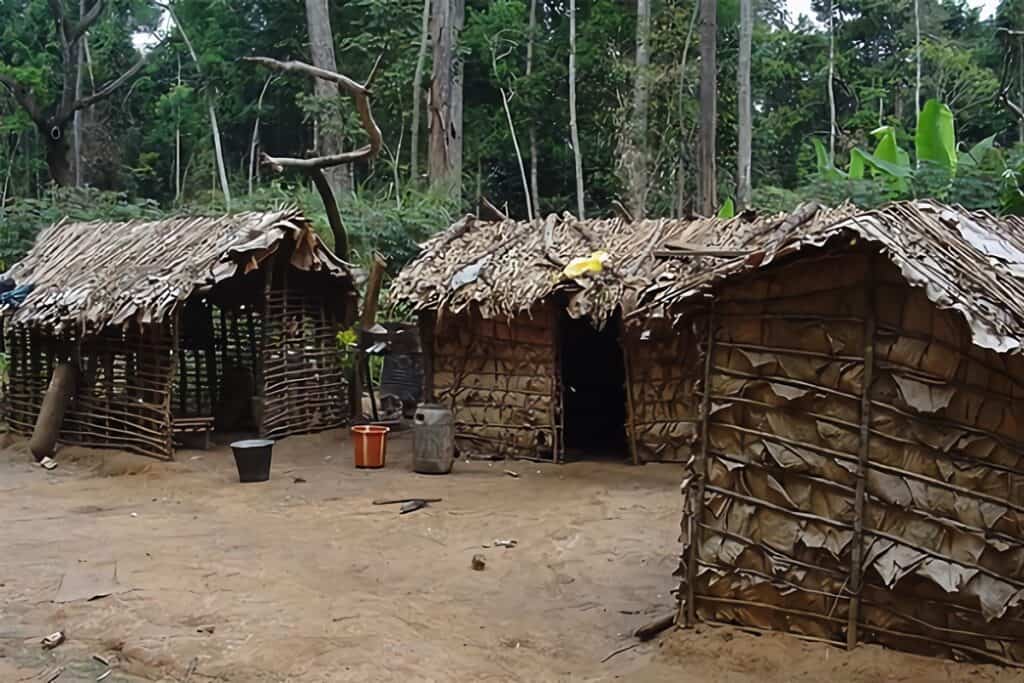 maison faite de bâtons et de feuilles en République du Congo