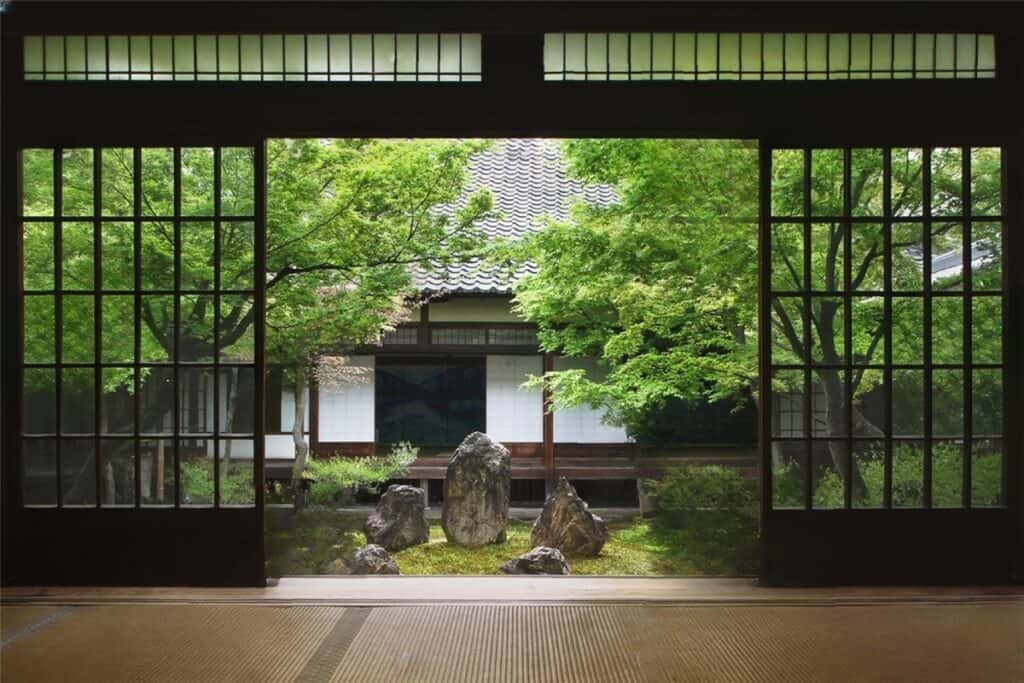 vue sur la nature depuis l'intérieur