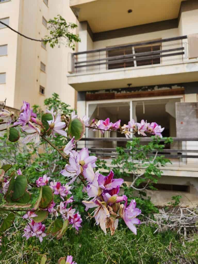 bâtiment abandonné à  Chypre