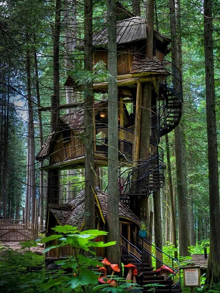 superbe cabane en bois dans un arbre