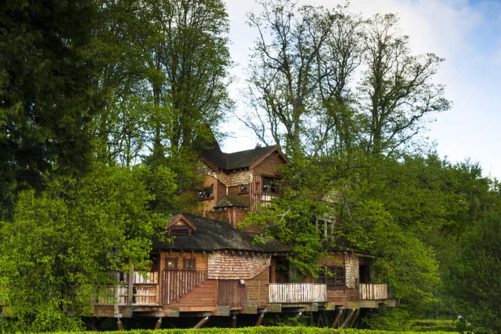 plus grande cabane dans un arbre au monde