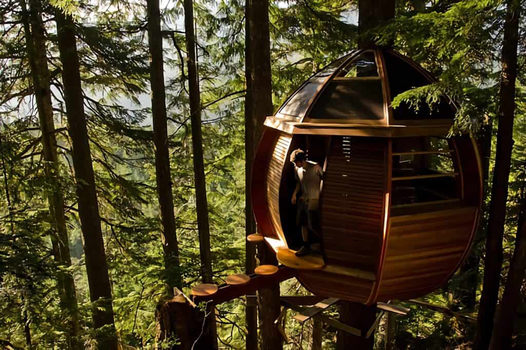 belle cabane dans un arbre