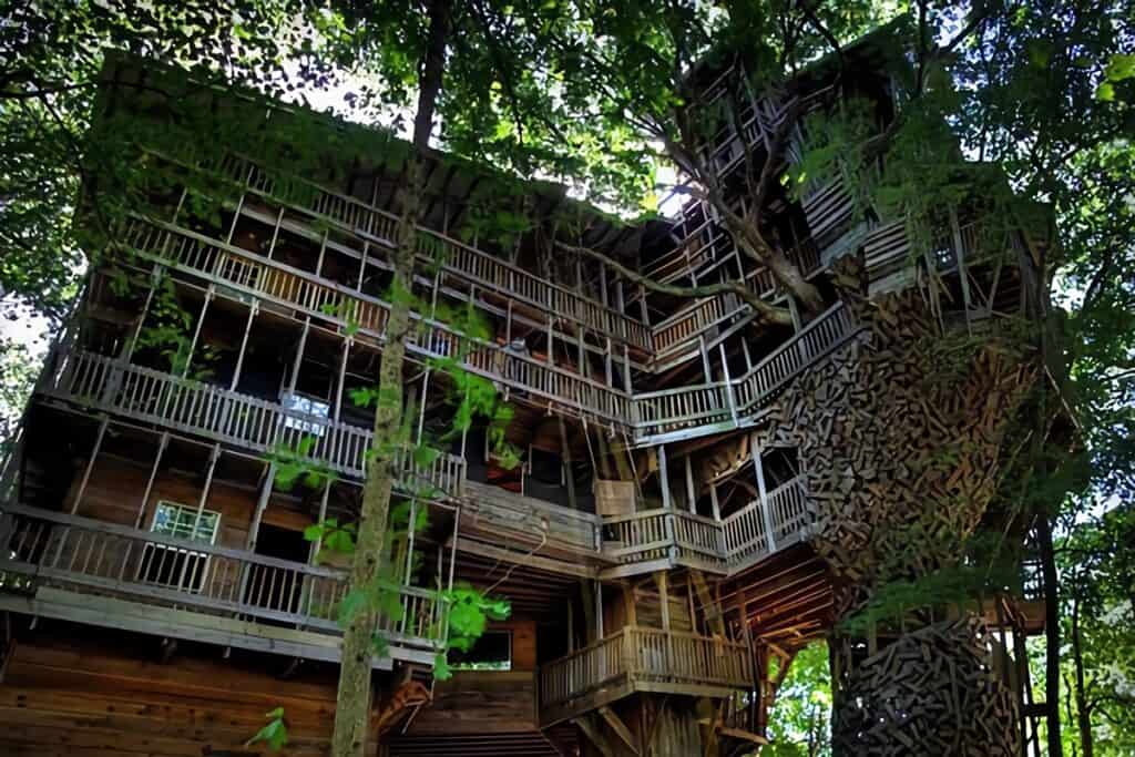 énorme cabane dans un arbre