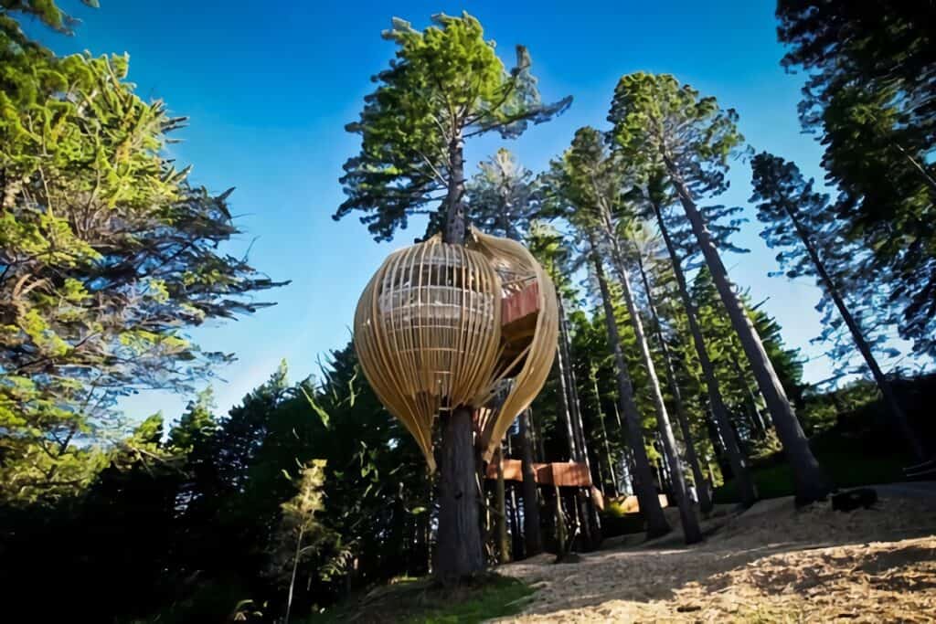 maison dans un arbre