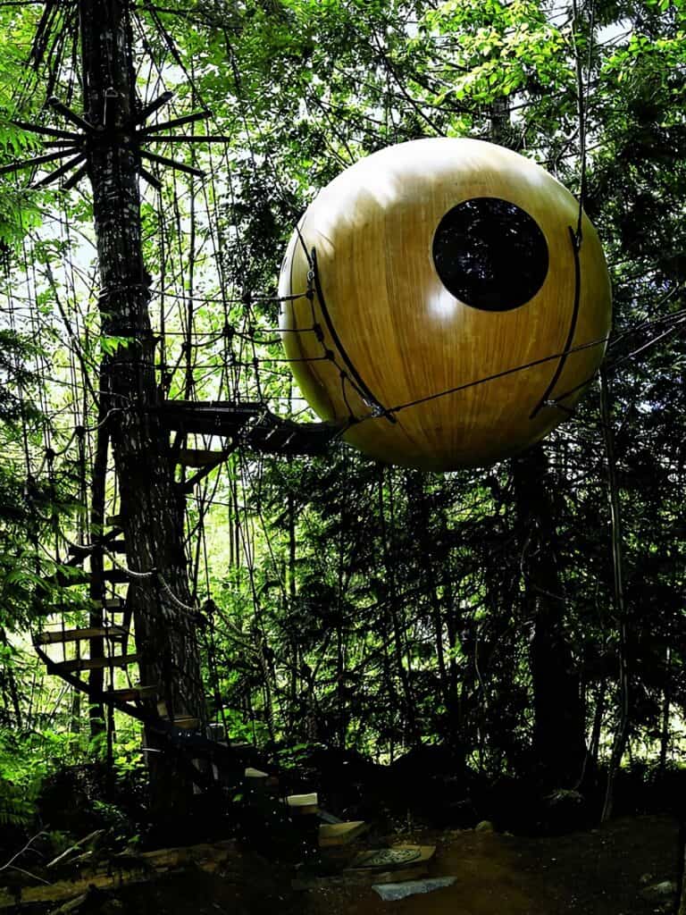 petite bulle en bois dans un arbre