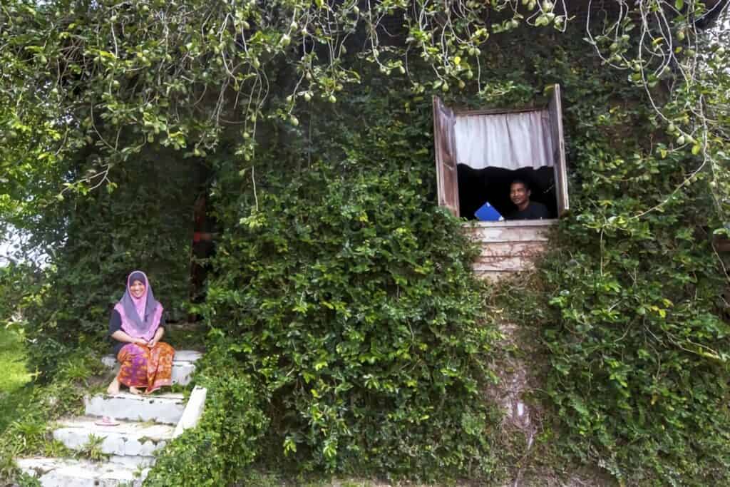 maison hobbit recouverte de végétation