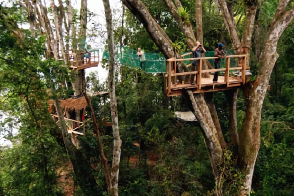 Cabane dans un arbre au Gabon