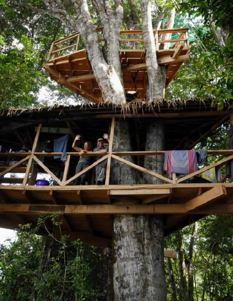 grande cabane dans un arbre au Gabon