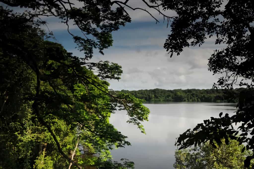 vue depuis la cabane