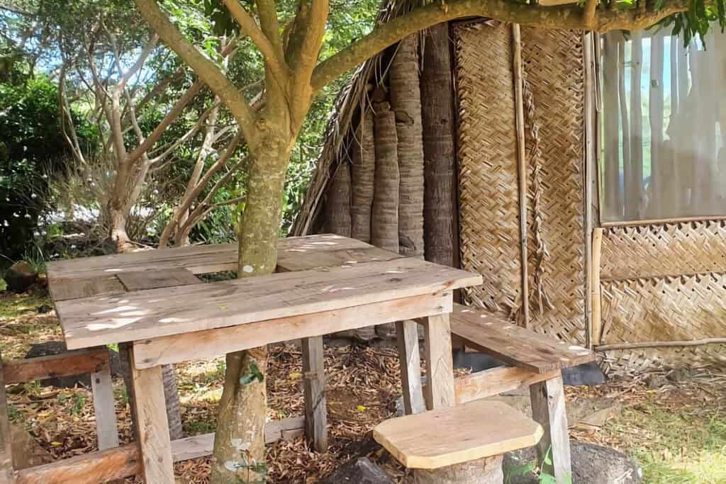 table en bois autour d'un arbre