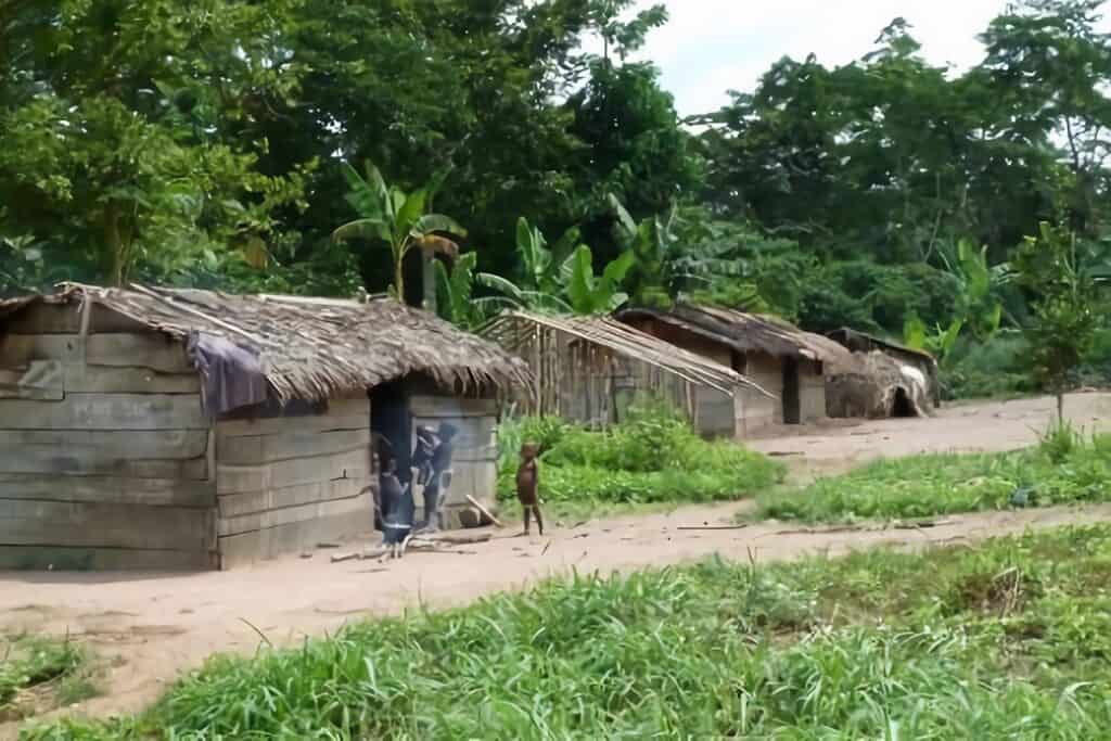 maisons en planches de bois en République Centrafricaine