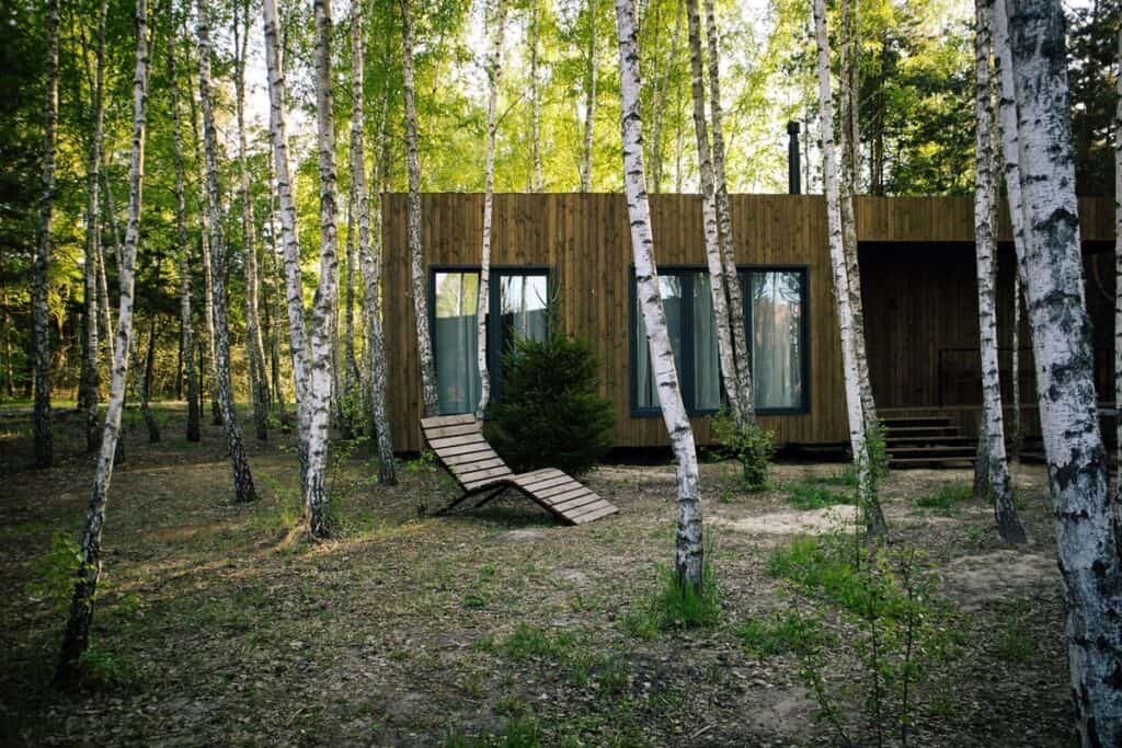 tiny house dans une forêt