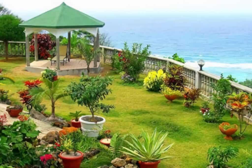 jardin tropical