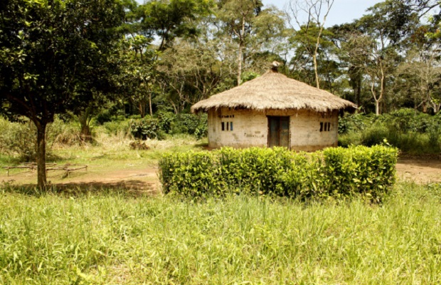 maison ronde république centrafricaine
