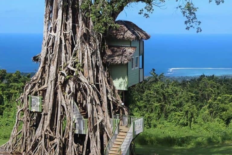 magnifique cabane arbre