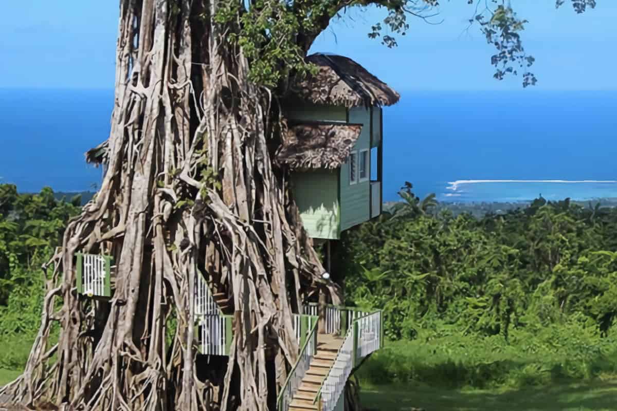 magnifique cabane arbre