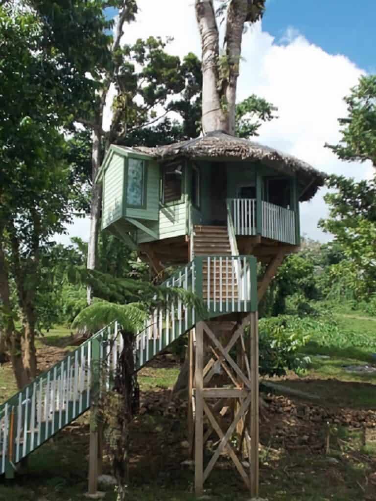 cabane dans un arbre de luxe