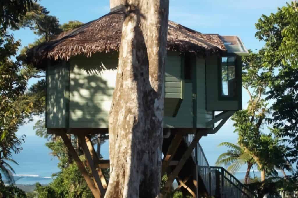 cabane dans un arbre