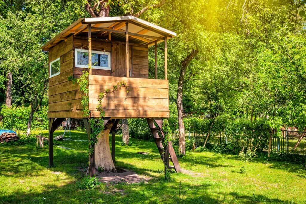 petite cabane en bois dans un arbre