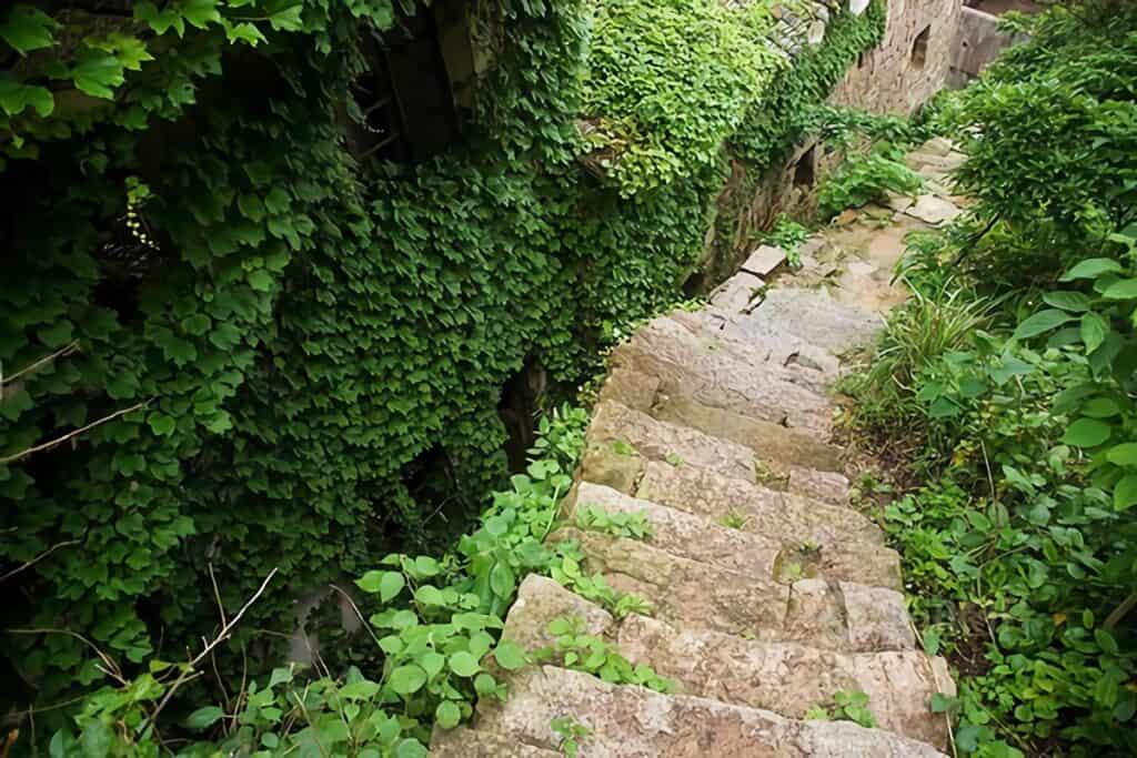 rue de Houtou Wan pleine de végétation