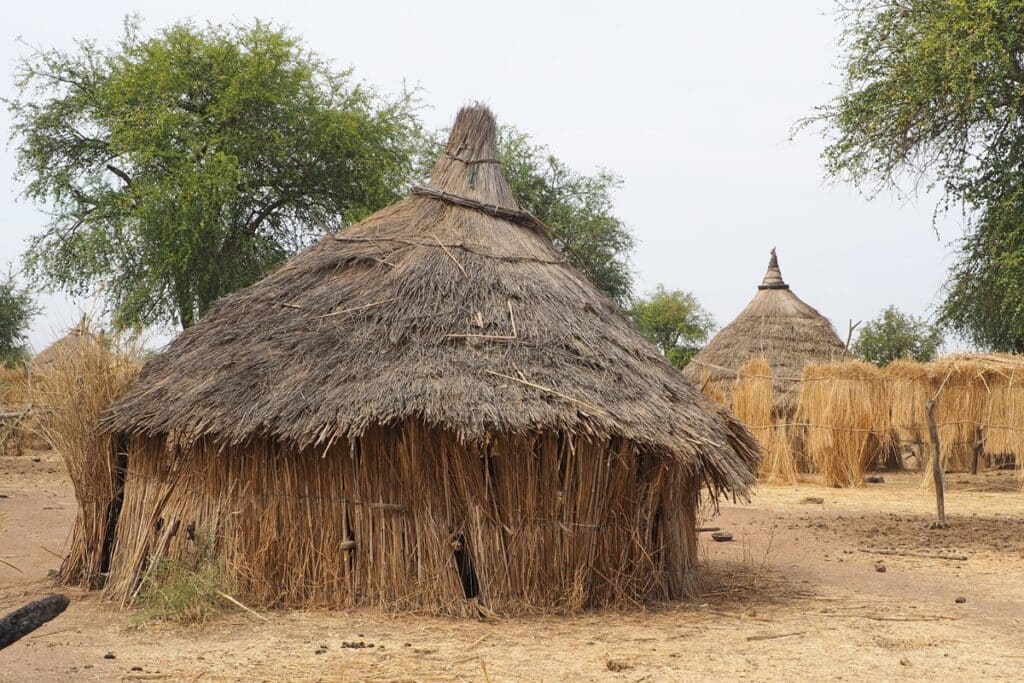 huttes au toit de chaume au Tchad