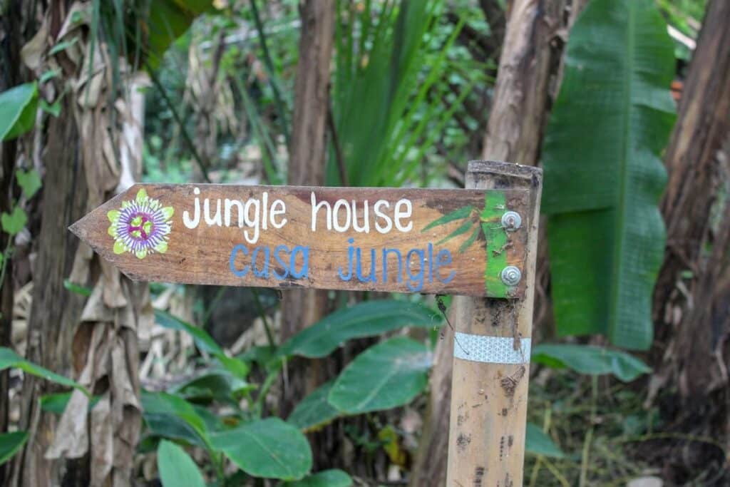 panneau jungle house