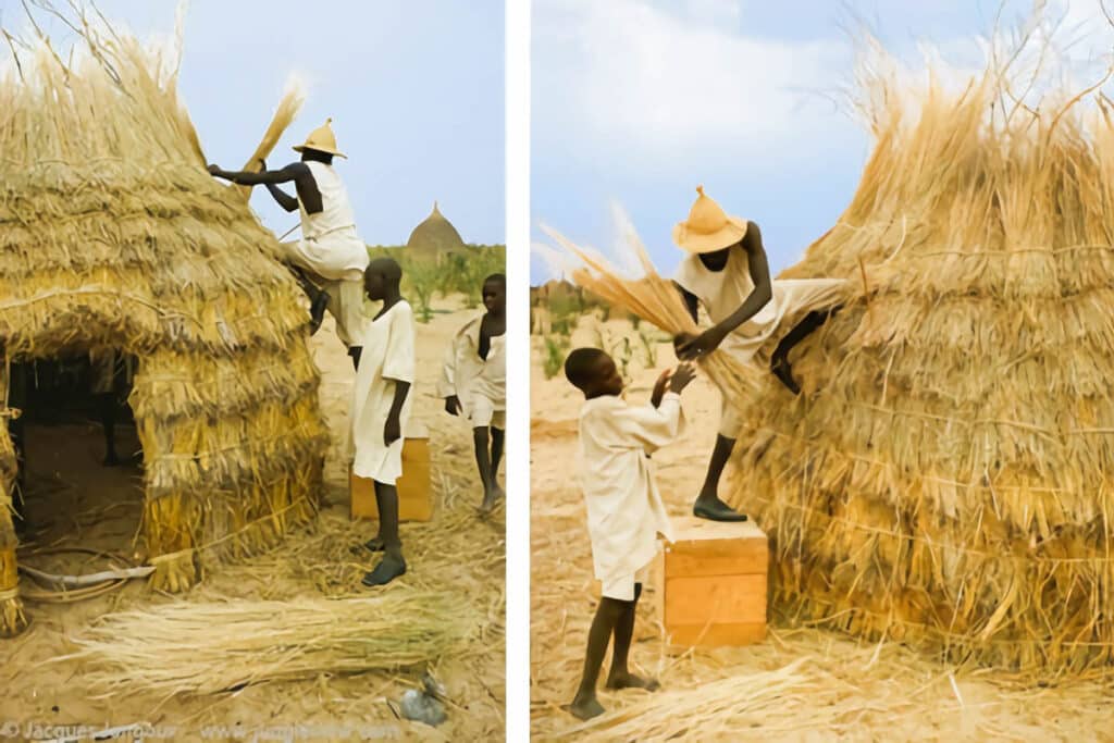 huttes de paille au Tchad