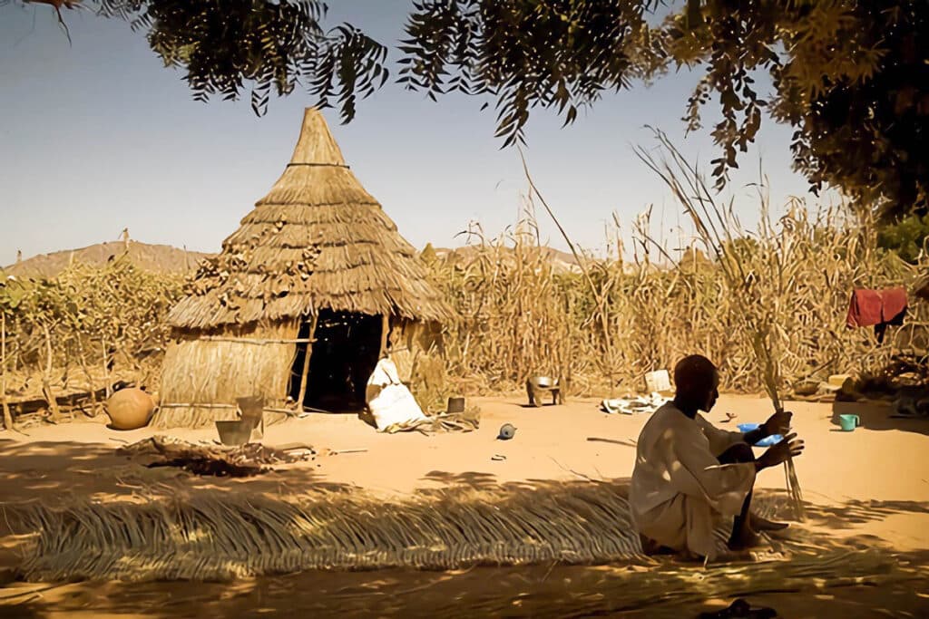 les huttes de chaume au Tchad