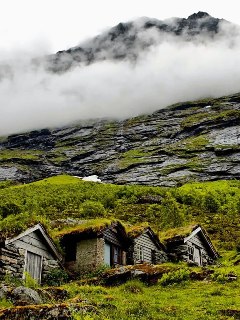 maisons toits herbe norvège