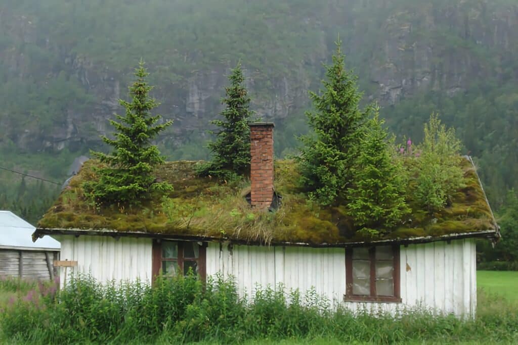 maison au toit d'herbe