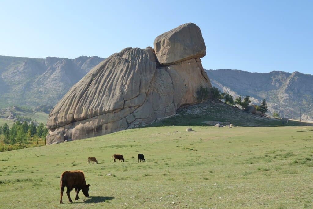 rocher en forme de tortue en Mongolie