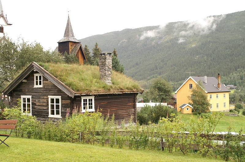 maison herbe islande
